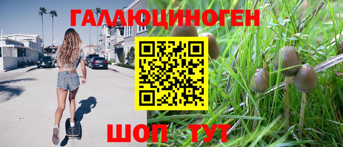 Псилоцибиновые грибы ЛСД  Вход с VPN  что такое   Абинск 